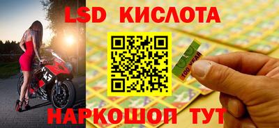 прущие крисы Гатчина