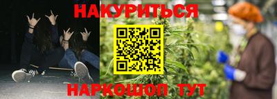 прущие крисы Гатчина