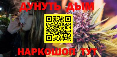 прущие крисы Гатчина