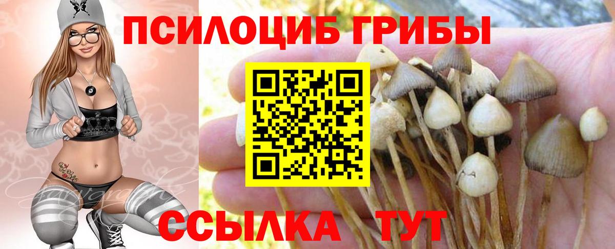 Псилоцибиновые грибы мицелий  Вход с VPN  Киржач 